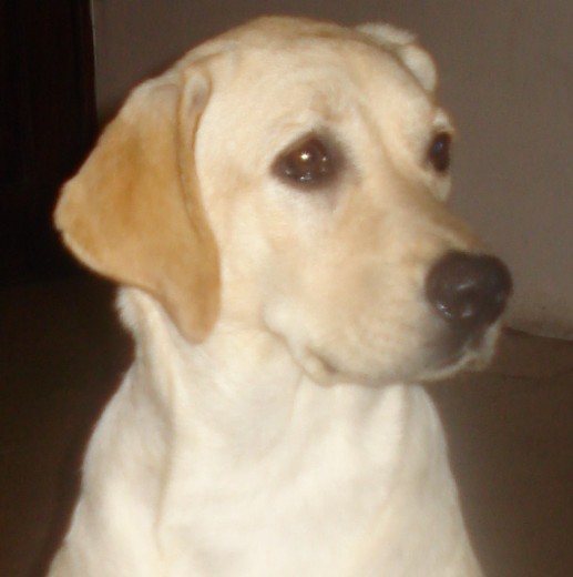 Mi Avril con 10 meses.... 